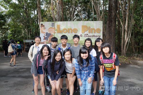 澳洲東岸體驗假期,學聯遊學團