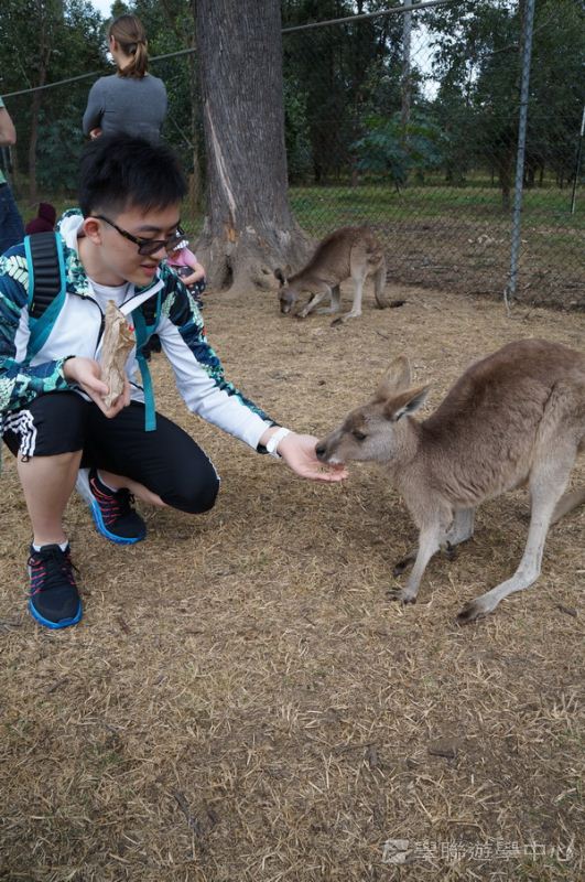 澳洲東岸體驗假期,學聯遊學團