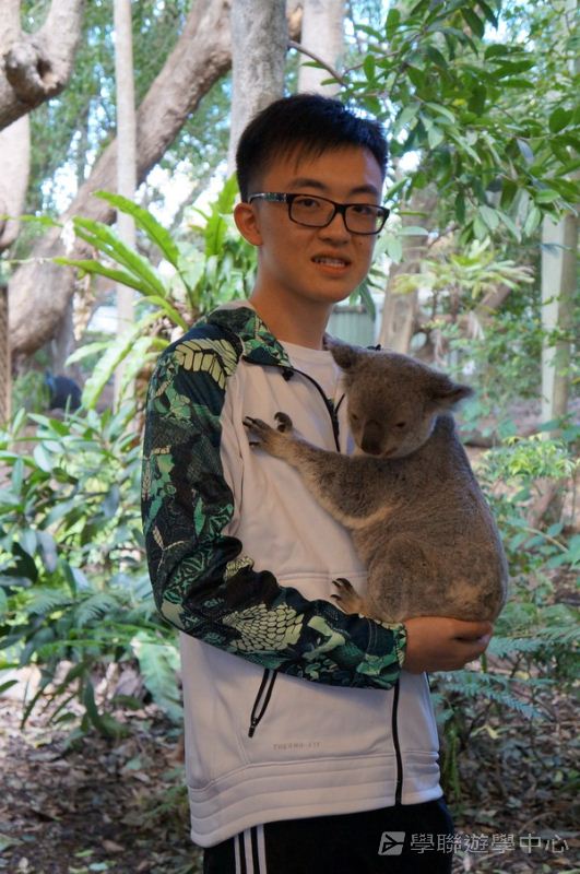 澳洲東岸體驗假期,學聯遊學團