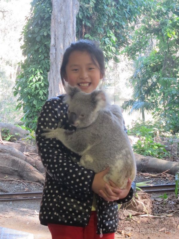 黃金海岸金色遊學假期,學聯遊學團
