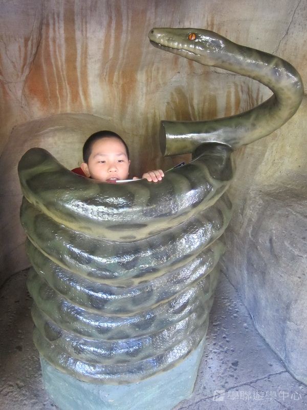 黃金海岸金色遊學假期,學聯遊學團