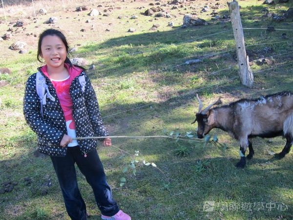 黃金海岸金色遊學假期,學聯遊學團