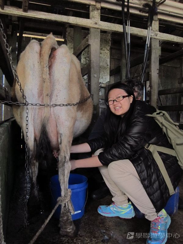 黃金海岸金色遊學假期,學聯遊學團