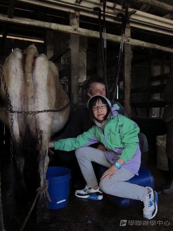 黃金海岸金色遊學假期,學聯遊學團