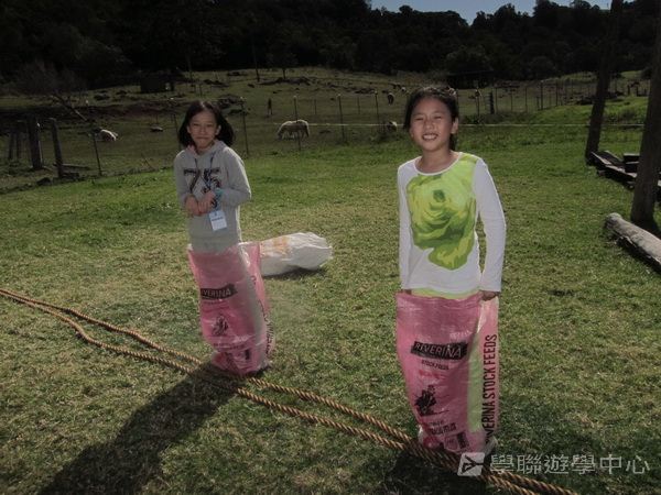 黃金海岸金色遊學假期,學聯遊學團