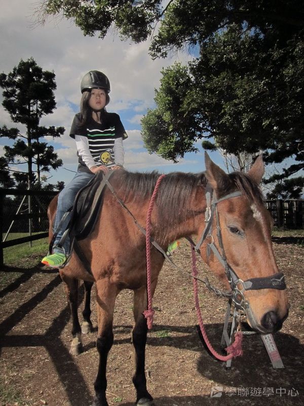 黃金海岸金色遊學假期,學聯遊學團