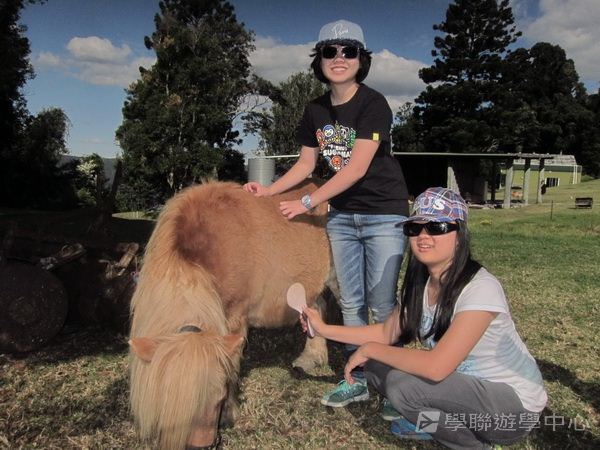 黃金海岸金色遊學假期,學聯遊學團