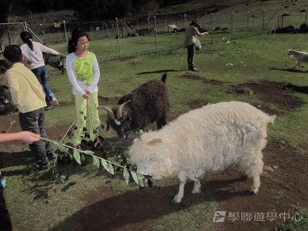 黃金海岸金色遊學假期,學聯遊學團