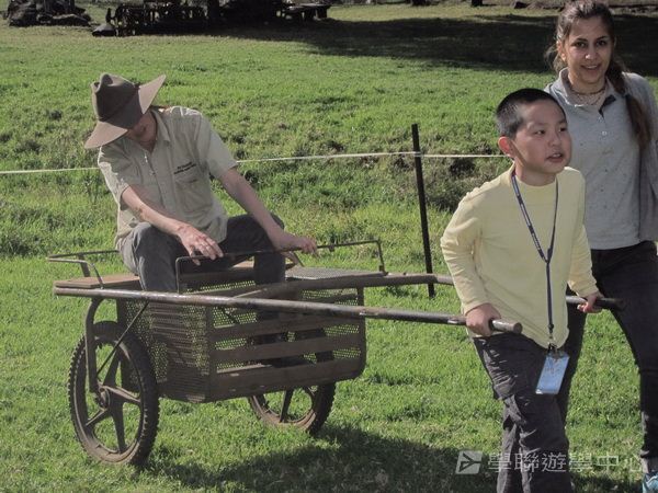 黃金海岸金色遊學假期,學聯遊學團