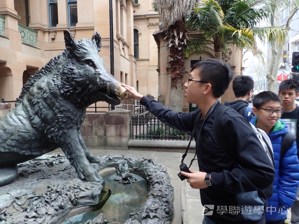 悉尼都會文化體驗遊學假期,學聯遊學團