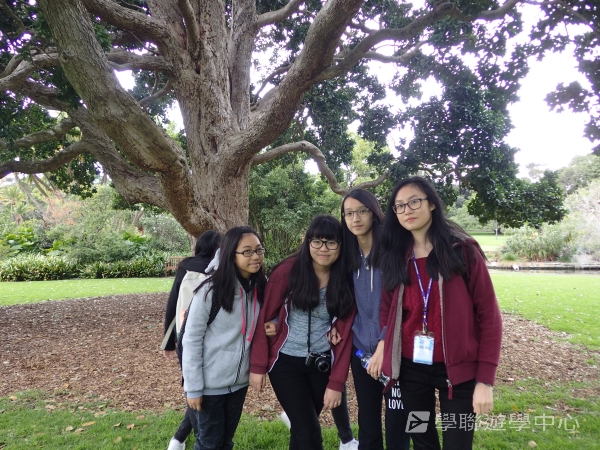 悉尼都會文化體驗遊學假期,學聯遊學團
