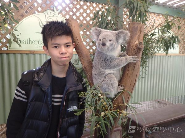 悉尼都會文化體驗遊學假期,學聯遊學團