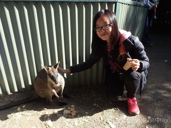 悉尼都會文化體驗遊學假期,學聯遊學團