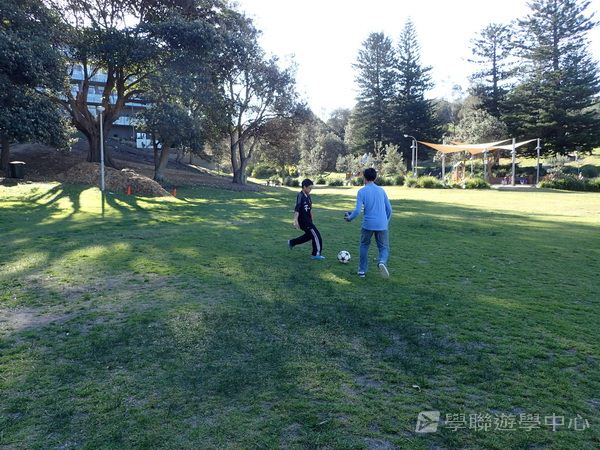 悉尼都會文化體驗遊學假期,學聯遊學團