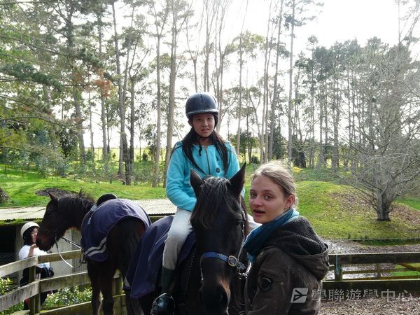 新西蘭農莊體驗之旅,學聯遊學團