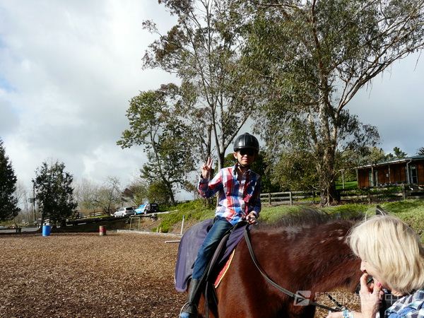 新西蘭農莊體驗之旅,學聯遊學團