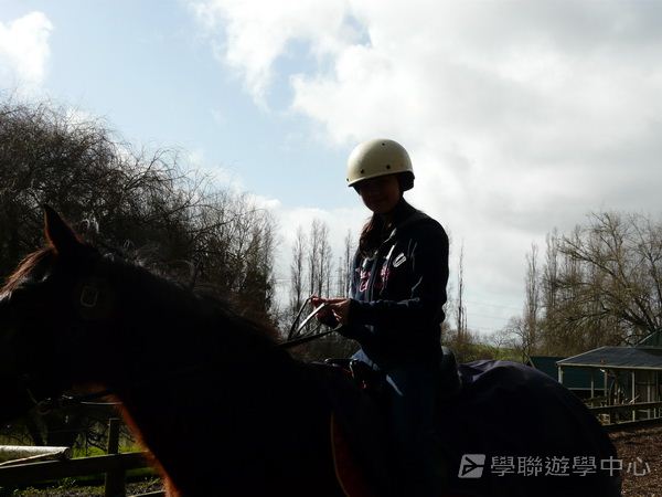新西蘭農莊體驗之旅,學聯遊學團