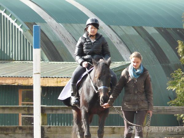 新西蘭農莊體驗之旅,學聯遊學團