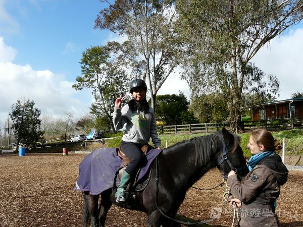 新西蘭農莊體驗之旅,學聯遊學團
