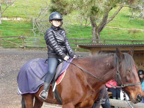 新西蘭農莊體驗之旅,學聯遊學團