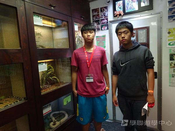 耶魯大學名校文化探索營 ,學聯遊學團