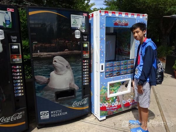 耶魯大學名校文化探索營 ,學聯遊學團