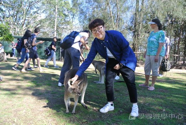 澳洲東岸體驗假期,學聯遊學團