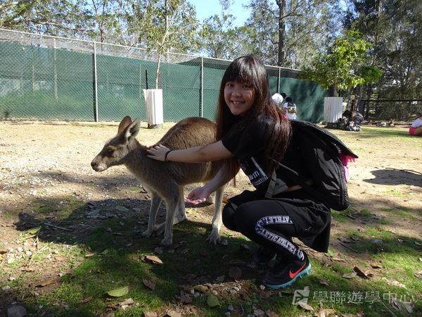 澳洲東岸體驗假期,學聯遊學團