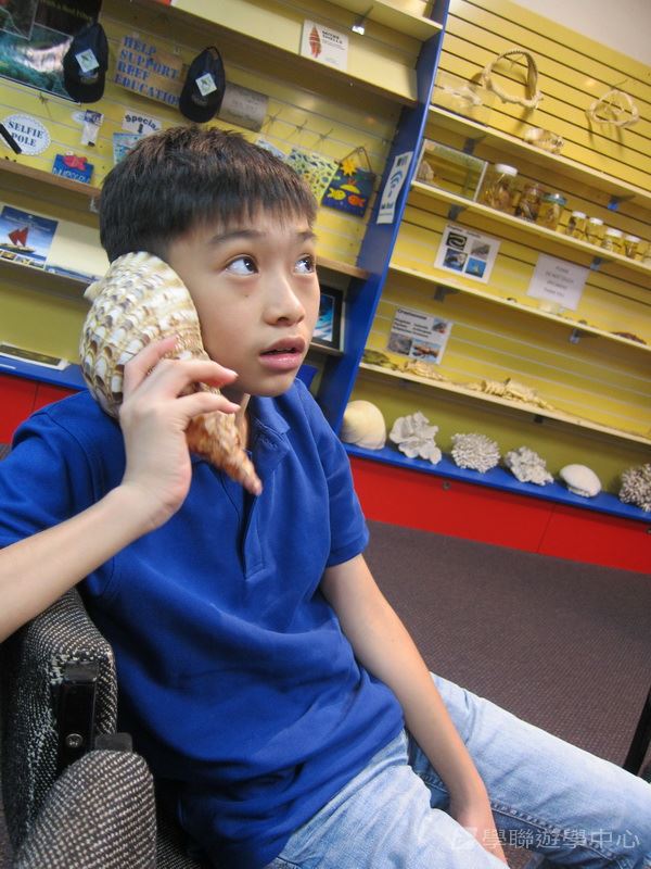 開恩茲友儕學習交流,學聯遊學團