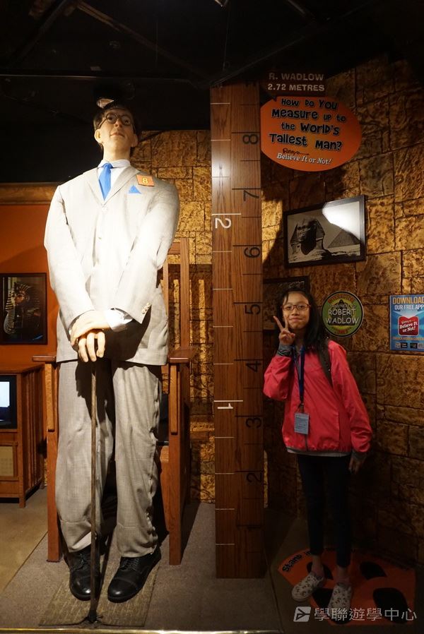 黃金海岸金色遊學假期,學聯遊學團