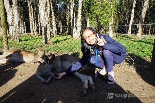 黃金海岸金色遊學假期,學聯遊學團