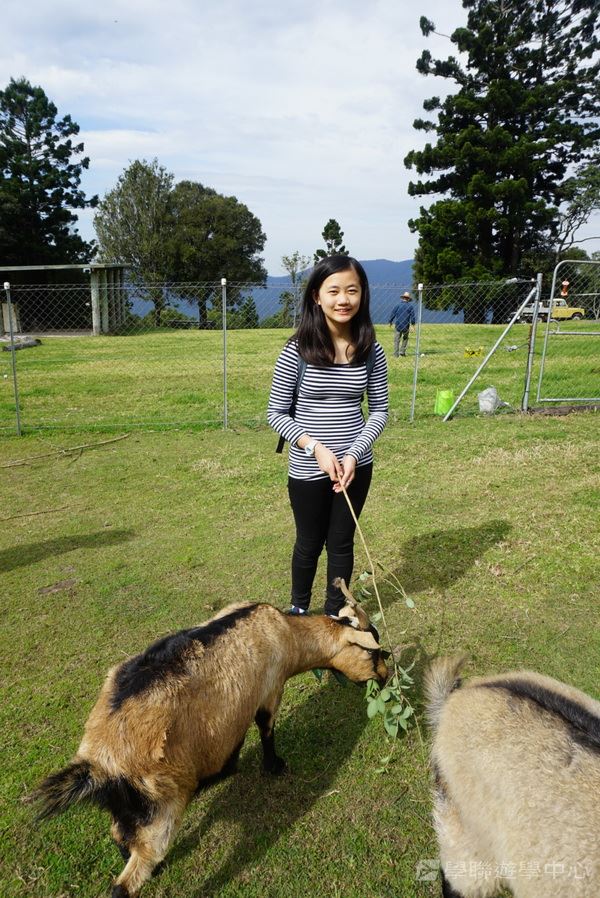 黃金海岸金色遊學假期,學聯遊學團