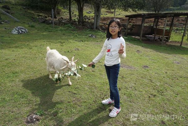 黃金海岸金色遊學假期,學聯遊學團