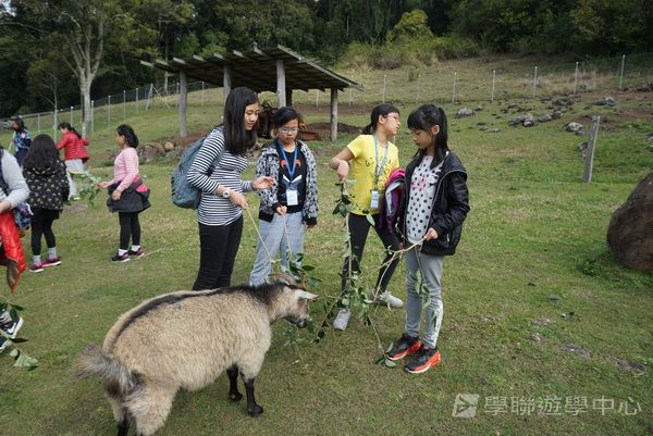 黃金海岸金色遊學假期,學聯遊學團