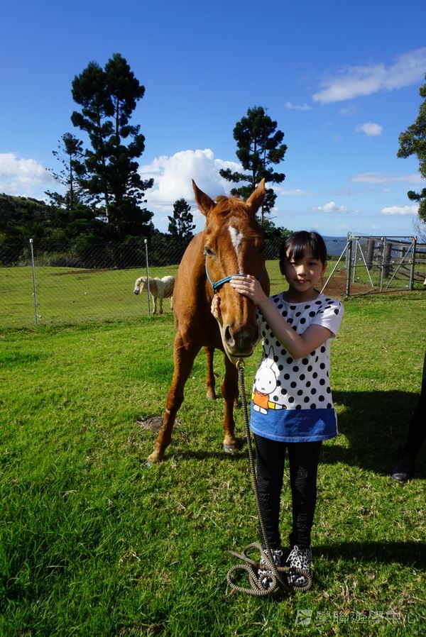 黃金海岸金色遊學假期,學聯遊學團