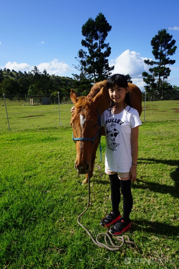 黃金海岸金色遊學假期,學聯遊學團