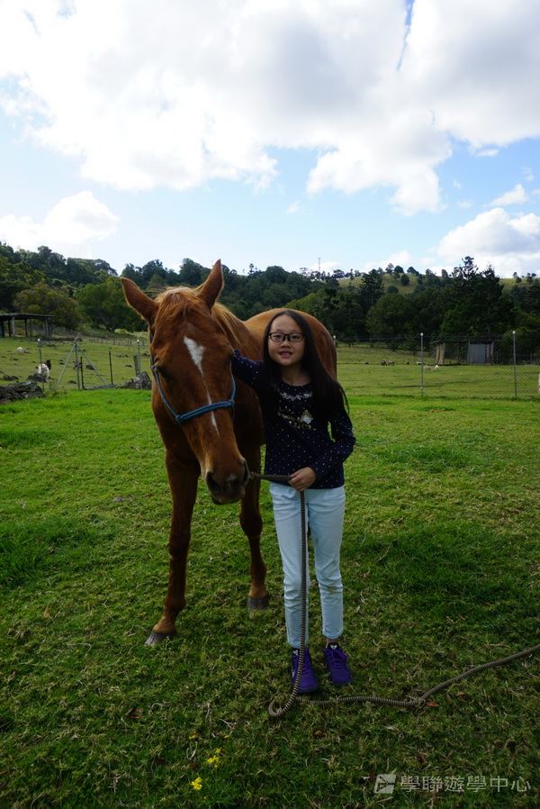 黃金海岸金色遊學假期,學聯遊學團