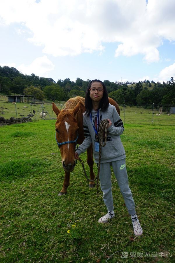 黃金海岸金色遊學假期,學聯遊學團