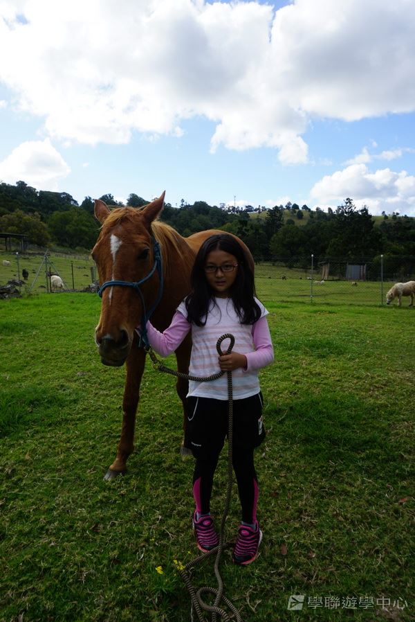 黃金海岸金色遊學假期,學聯遊學團