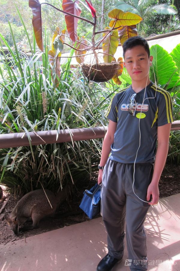 開恩茲友儕學習交流,學聯遊學團