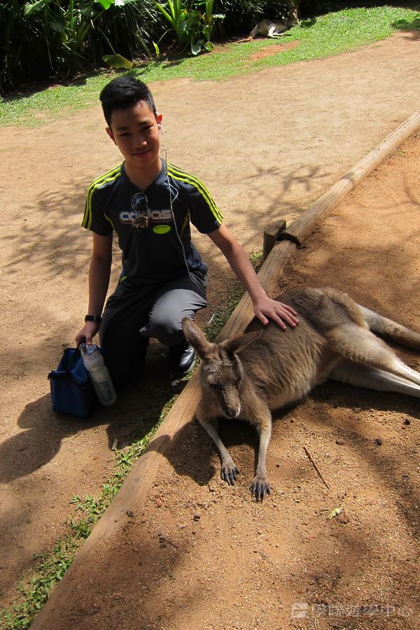 開恩茲友儕學習交流,學聯遊學團