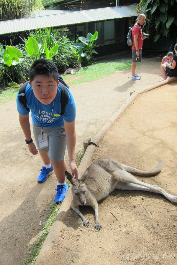 開恩茲友儕學習交流,學聯遊學團