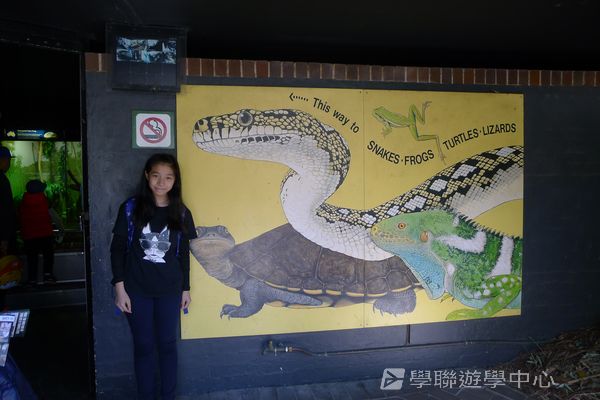 悉尼都會文化體驗遊學假期,學聯遊學團