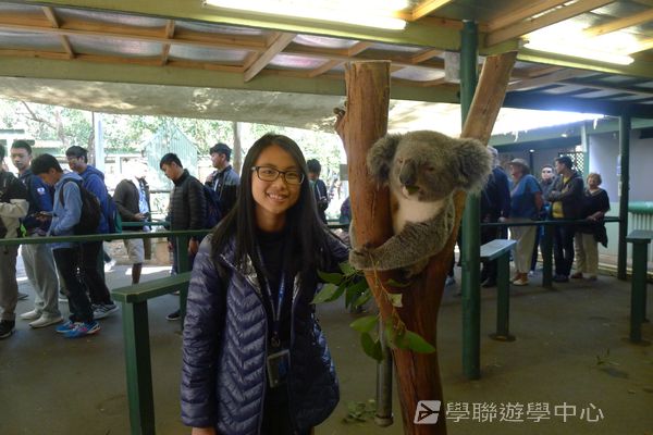 悉尼都會文化體驗遊學假期,學聯遊學團