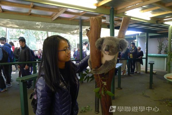 悉尼都會文化體驗遊學假期,學聯遊學團
