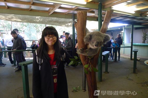 悉尼都會文化體驗遊學假期,學聯遊學團