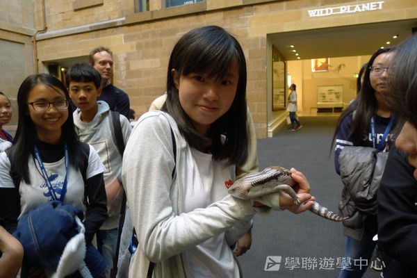 悉尼都會文化體驗遊學假期,學聯遊學團