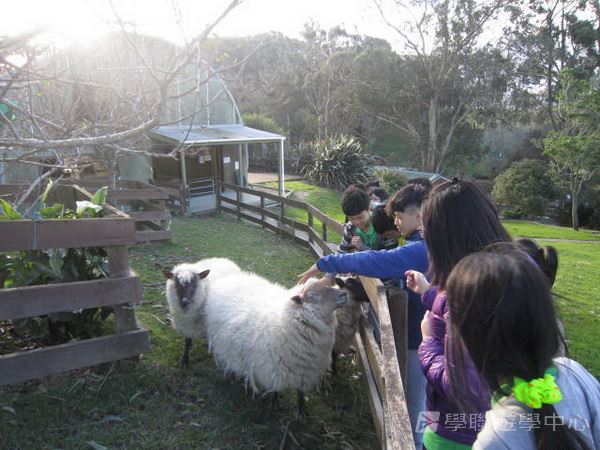 新西蘭農莊體驗之旅,學聯遊學團