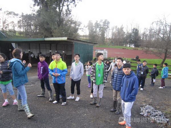 新西蘭農莊體驗之旅,學聯遊學團