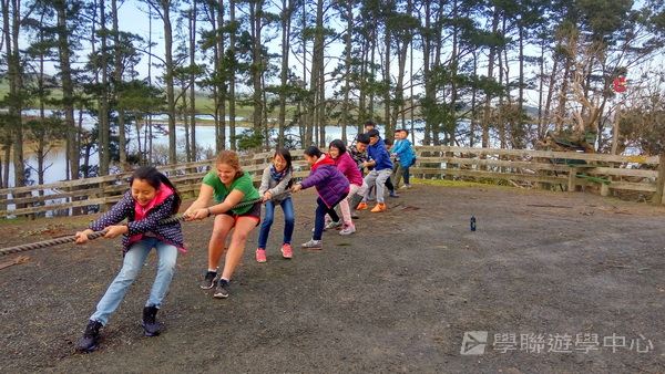 新西蘭農莊體驗之旅,學聯遊學團